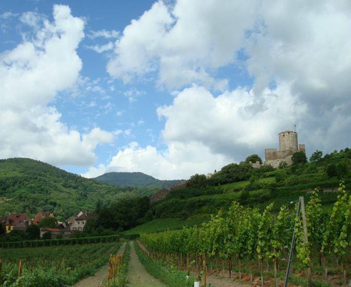 La Maison Bleue Kientzheim Ngoại thất bức ảnh